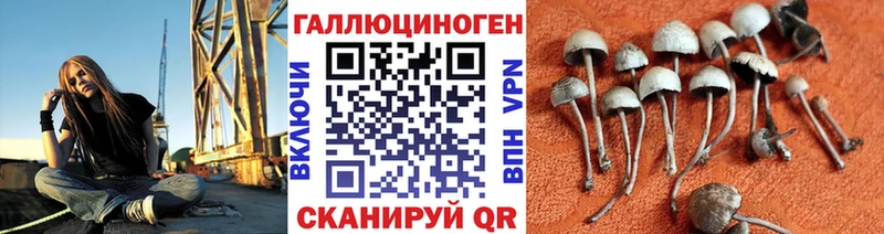 Галлюциногенные грибы Psilocybine cubensis  сколько стоит  Неман 